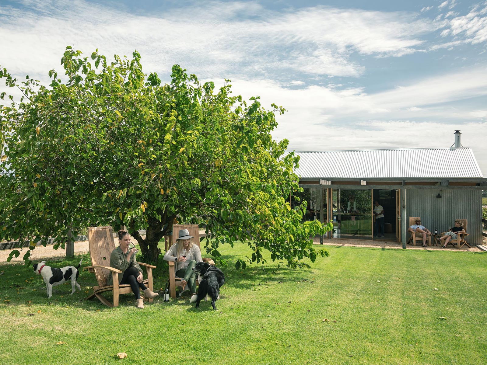 Patrons enjoying shade and friendly dogs outside Hayes Family Wines cellar door